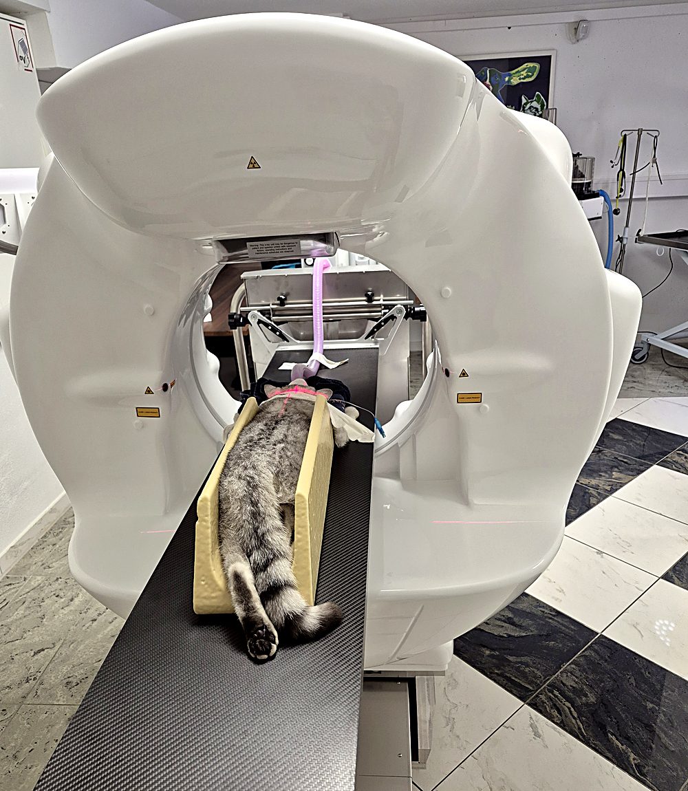 Patient im praxiseigenen Computertomographen